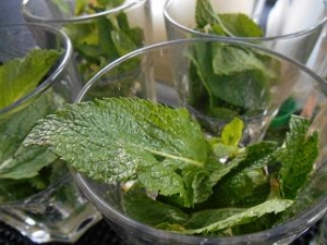 Cocktail Stir it Up @ Team event Davidson