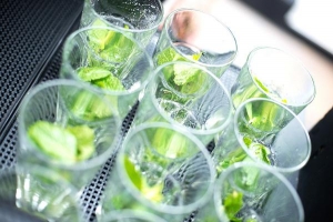 Bar cocktail Stir it Up - Gastby le Magnifique