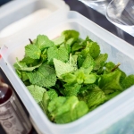 Ingrédients cocktails menthe